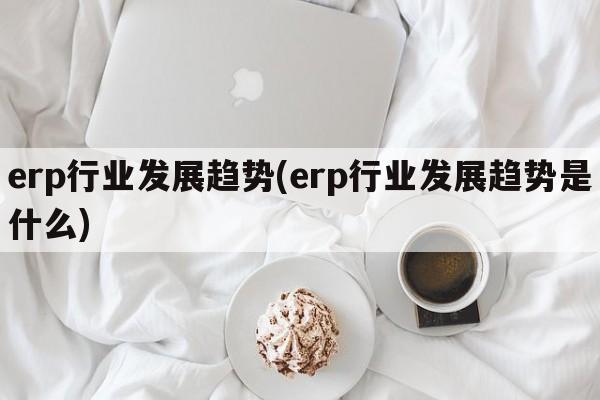 erp行业发展趋势(erp行业发展趋势是什么)