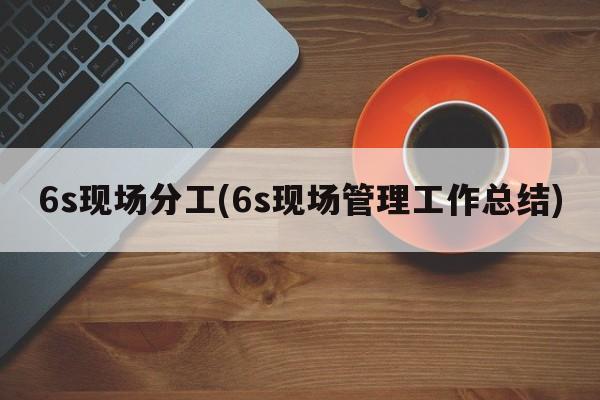 6s现场分工(6s现场管理工作总结)